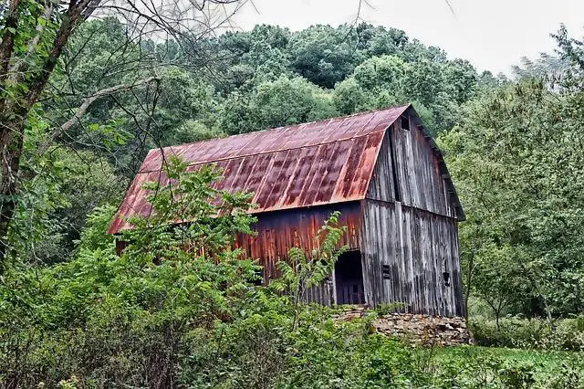 Image of large barn in the middle of woodlands